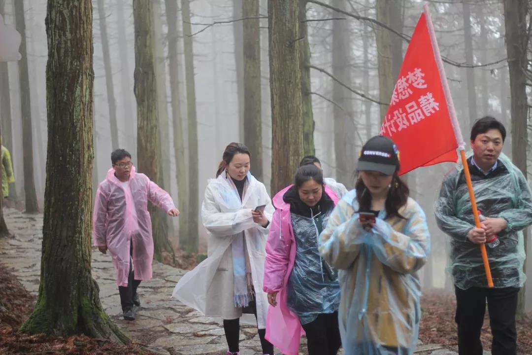 春光正當時，來一場說走就走的旅行